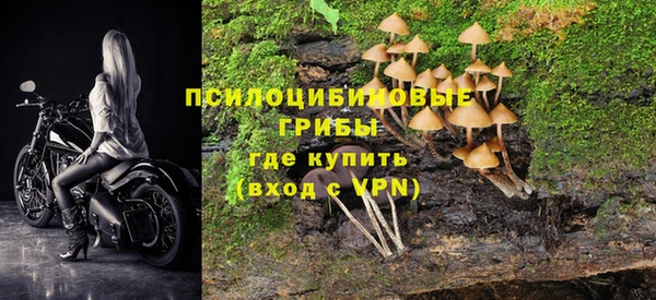 гидропоника Беломорск
