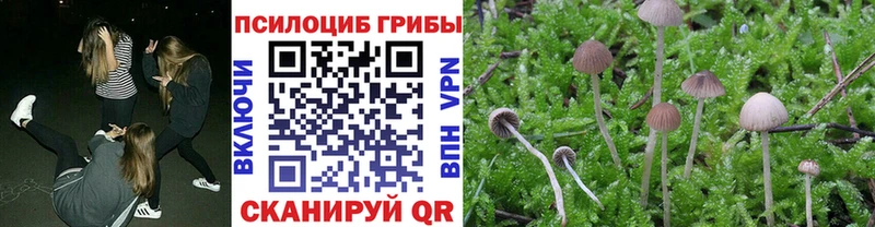 Купить закладки  Астрахань  Псилоцибиновые грибы MAGIC MUSHROOMS 